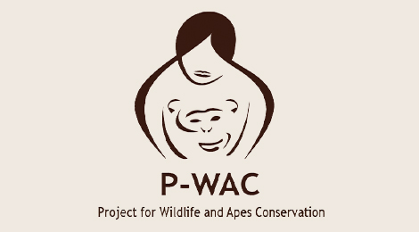 P-WAC