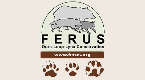 FERUS