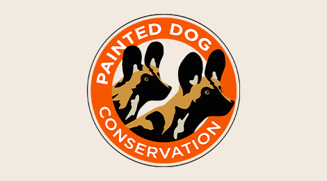 Painted Dog Conservation